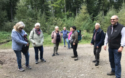 Wanderung im Osterwald